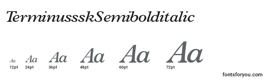 Размеры шрифта TerminussskSemibolditalic