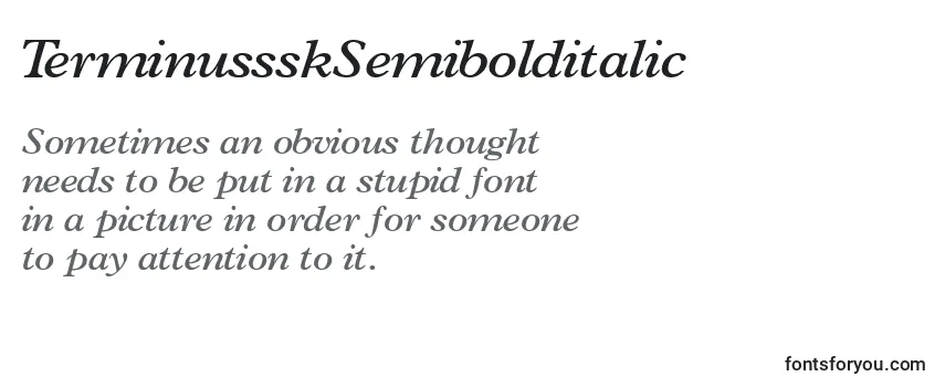TerminussskSemibolditalic フォントのレビュー