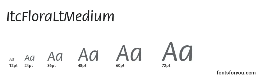Größen der Schriftart ItcFloraLtMedium