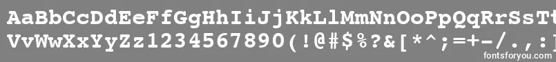 フォントCourierBoldSwa – 灰色の背景に白い文字