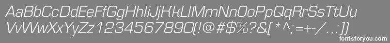 EurofontlightcItalic Font – White Fonts on Gray Background