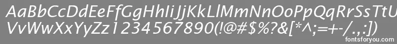 LucidasansstdItalic Font – White Fonts on Gray Background