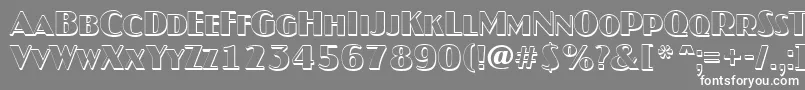 JaspercapsshRegular Font – White Fonts on Gray Background