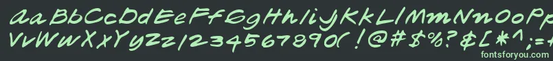 Lehn181 Font – Green Fonts on Black Background