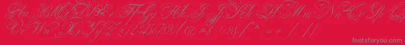 VenskiSadTwoMedium Font – Gray Fonts on Red Background