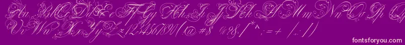 VenskiSadTwoMedium Font – Pink Fonts on Purple Background