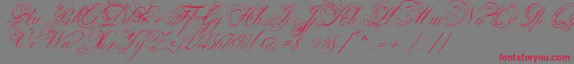 VenskiSadTwoMedium Font – Red Fonts on Gray Background
