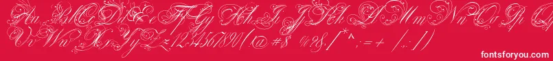 VenskiSadTwoMedium Font – White Fonts on Red Background