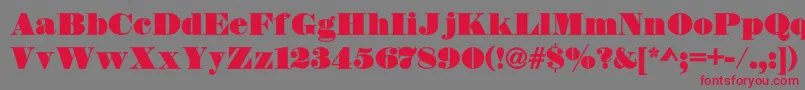 フォントDsThorowgoodContour – 赤い文字の灰色の背景