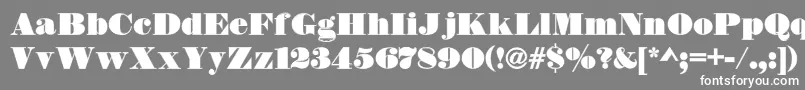 DsThorowgoodContour Font – White Fonts on Gray Background