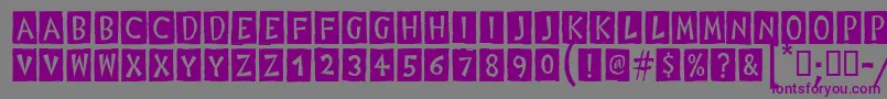 Шрифт DigitalWoodcutsBlackItcTt – фиолетовые шрифты на сером фоне
