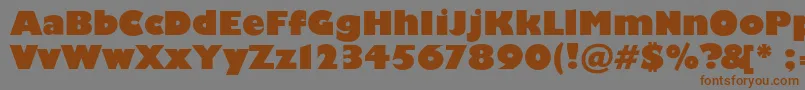 Scliberatorc Font – Brown Fonts on Gray Background