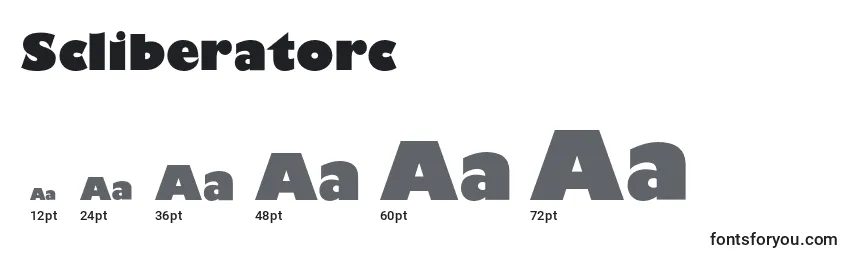 Размеры шрифта Scliberatorc