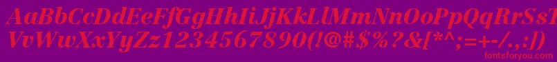 Czcionka LinotypeCentennialLt96BlackItalic – czerwone czcionki na fioletowym tle