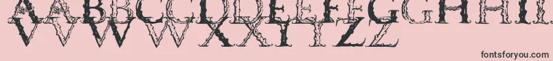 Weitere Informationen zur Vespasiancaps-Schriftart Vespasiancaps-Schriftart – Schwarze Schriften auf rosa Hintergrund