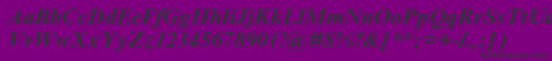 TimesNewRomanCyrBoldItalic Font – Black Fonts on Purple Background