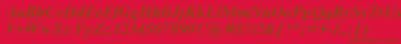 TimesNewRomanCyrBoldItalic Font – Brown Fonts on Red Background
