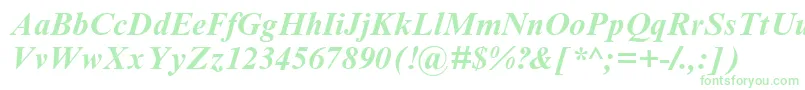 TimesNewRomanCyrBoldItalic Font – Green Fonts