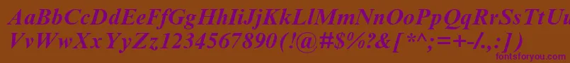 TimesNewRomanCyrBoldItalic Font – Purple Fonts on Brown Background