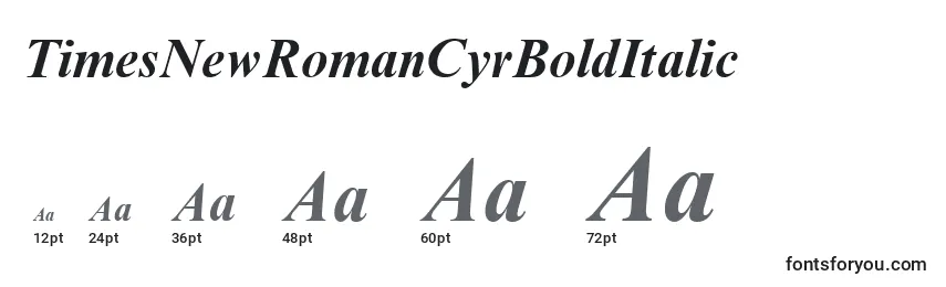TimesNewRomanCyrBoldItalic Font Sizes