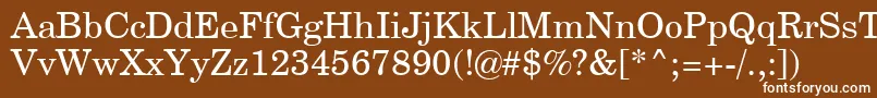 フォントCenturySchoolbookSwa – 茶色の背景に白い文字