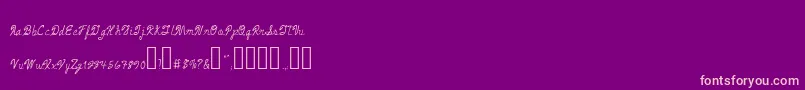 ArmandChief Font – Pink Fonts on Purple Background