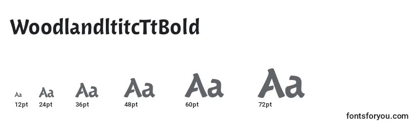 WoodlandltitcTtBold Font Sizes