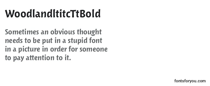 Review of the WoodlandltitcTtBold Font
