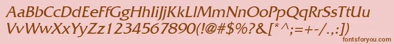 FritzItalic Font – Brown Fonts on Pink Background