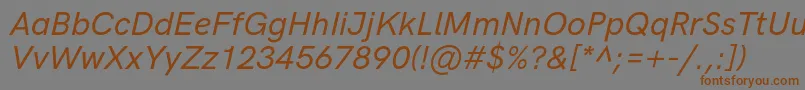 HkgroteskMediumlegacyitalic-fontti – ruskeat fontit harmaalla taustalla