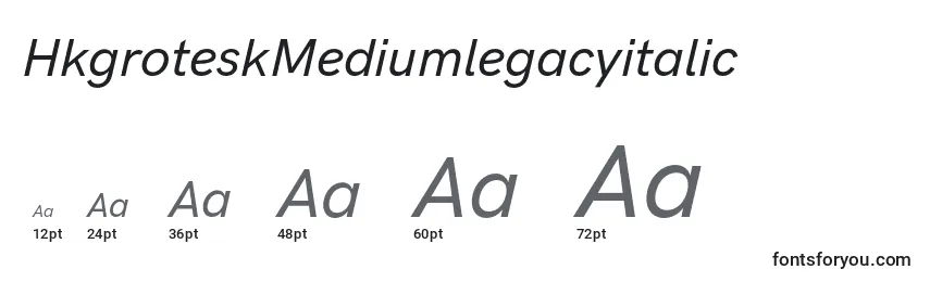 HkgroteskMediumlegacyitalic Font Sizes