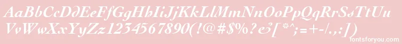 CocktailBoldItalic Font – White Fonts on Pink Background