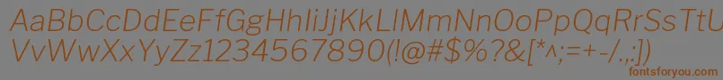 LibrefranklinExtralightitalic Font – Brown Fonts on Gray Background