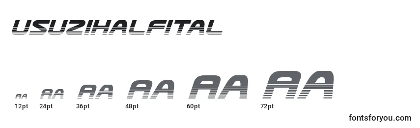 Usuzihalfital font sizes