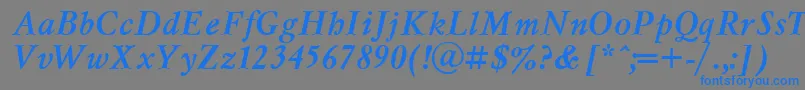 フォントMsl66C – 灰色の背景に青い文字