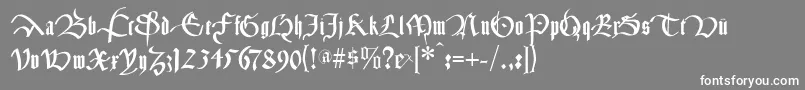 Cancelleresca Font – White Fonts on Gray Background