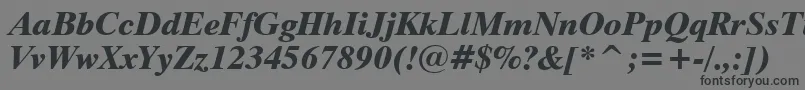 Dutch801ExtraBoldItalicBt-fontti – mustat fontit harmaalla taustalla