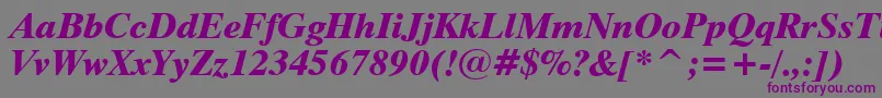 Dutch801ExtraBoldItalicBt-fontti – violetit fontit harmaalla taustalla