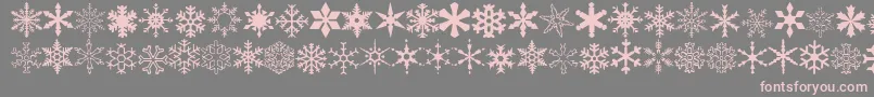 Wwflakes-Schriftart – Rosa Schriften auf grauem Hintergrund