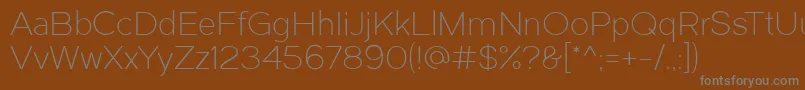 Dual300 Font – Gray Fonts on Brown Background