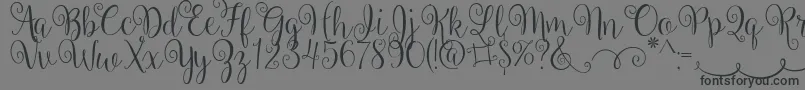 BallerinaScript-Schriftart – Schwarze Schriften auf grauem Hintergrund