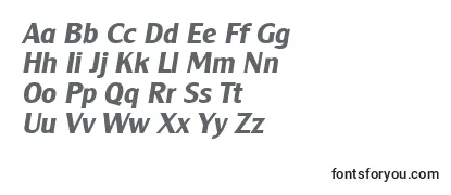 ClearfacegothicBoldItalic Font