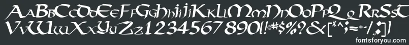 フォントVectortype124Regular – 白い文字