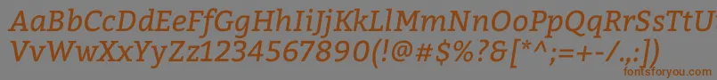 BitterItalic Font – Brown Fonts on Gray Background