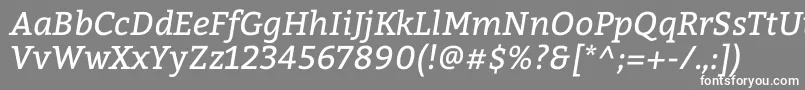 フォントBitterItalic – 灰色の背景に白い文字