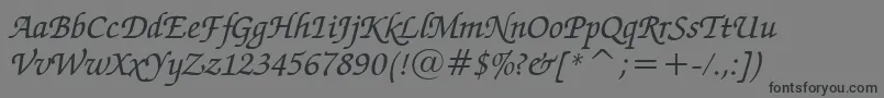 ZapfChanceryMediumItalicBt Font – Black Fonts on Gray Background