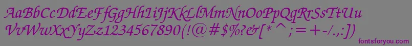 ZapfChanceryMediumItalicBt-fontti – violetit fontit harmaalla taustalla