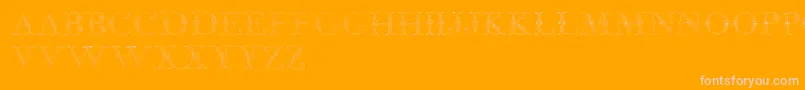 JaggardTwo-Schriftart – Rosa Schriften auf orangefarbenem Hintergrund