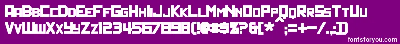 PolitikBold Font – White Fonts on Purple Background