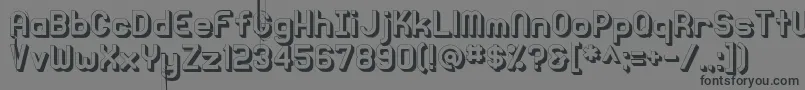 Knochen3DRegular Font – Black Fonts on Gray Background